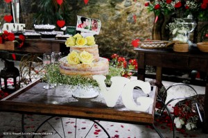 Quinta do Parque | Casamento | Viviane e Gustavo