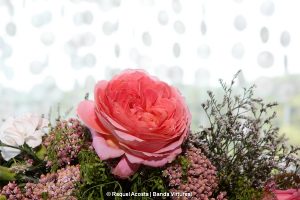 Búzios | Casamento | Janaina e Rhett